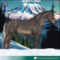 Horse Color:Silver Black 