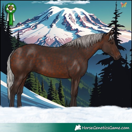 Horse Color:Silver Brown 