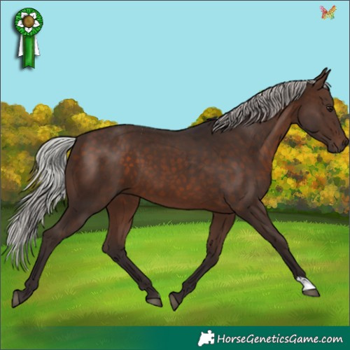 Horse Color:Silver Brown 