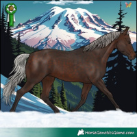 Horse Color:Silver Brown