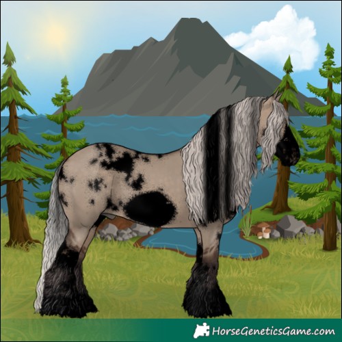 Horse Color:Void White Spotted Silver Brown Dun Frame 