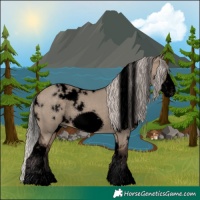 Horse Color:Void White Spotted Silver Brown Dun Frame