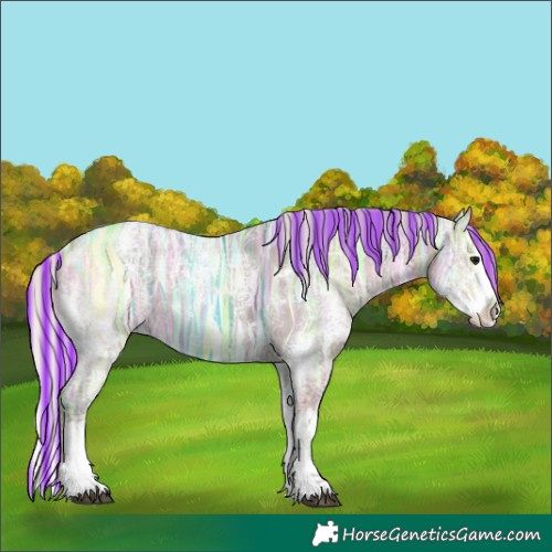 Horse Color:Painted Silver Grullo Ice Sabino Splash 