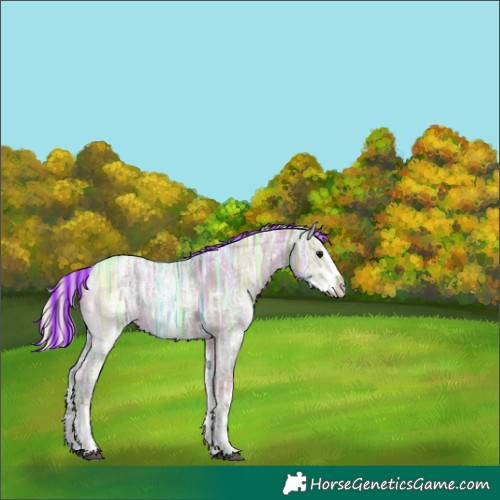 Horse Color:Painted Silver Grullo Ice Sabino Splash