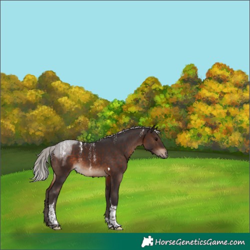 Horse Color:Powder White Silver Brown Tobiano 