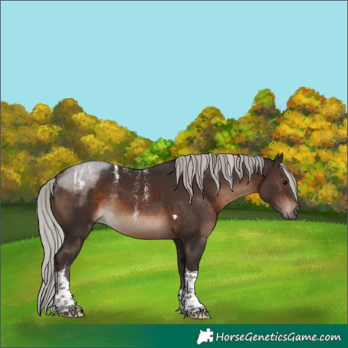 Horse Color:Powder White Silver Brown Tobiano 