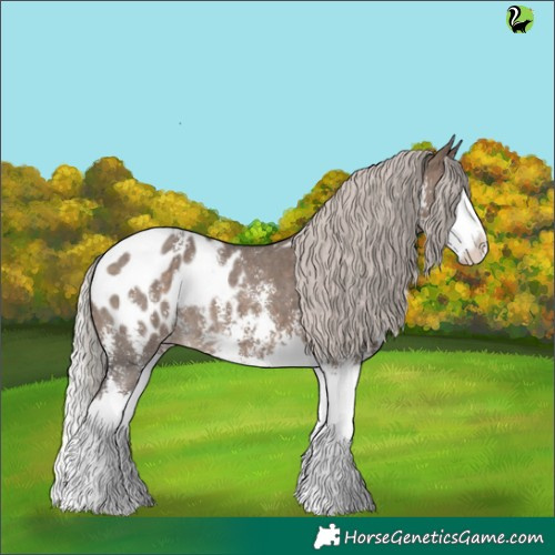 Horse Color:Silver Brown Dun Sabino Splash Appaloosa 