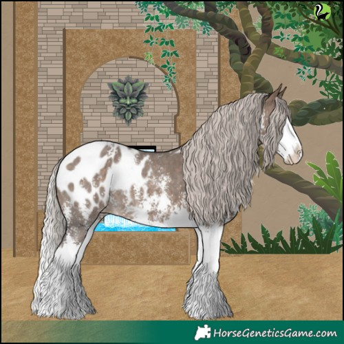 Horse Color:Silver Brown Dun Sabino Splash Blanket 