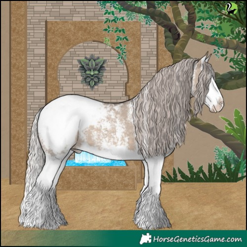 Horse Color:Silver Brown Dun Sabino Splash Appaloosa 