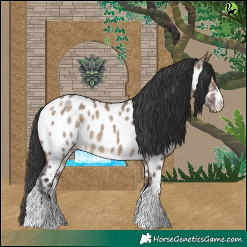 Horse Color:White Spotted Brown Dun Appaloosa 