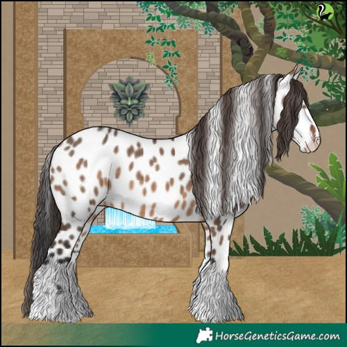 Horse Color:White Spotted Brown Dun Appaloosa 