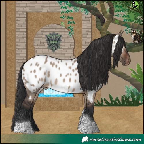 Horse Color:Brown Dun Tobiano Appaloosa 