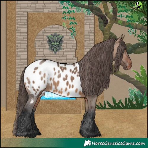Horse Color:White Spotted Brown Dun Near Leopard 