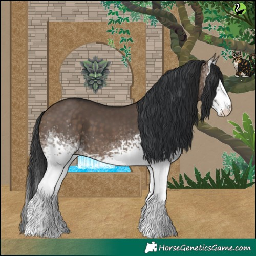 Horse Color:White Spotted Brown Dun 