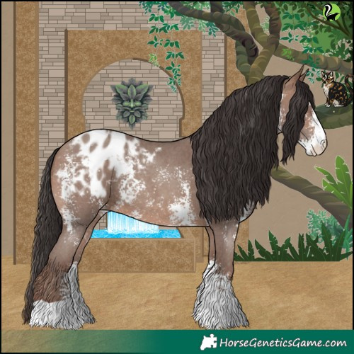 Horse Color:Sable Champagne Sabino Appaloosa 