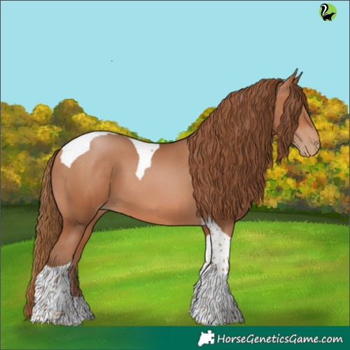 Horse Color:Brown Pearl Tobiano 