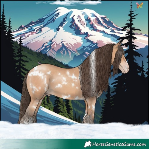 Horse Color:White Spotted Amber Champagne 