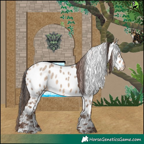 Horse Color:Sable Champagne Dun Near Leopard 