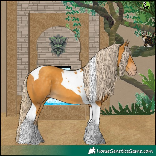 Horse Color:Gold Cream Champagne Tobiano 