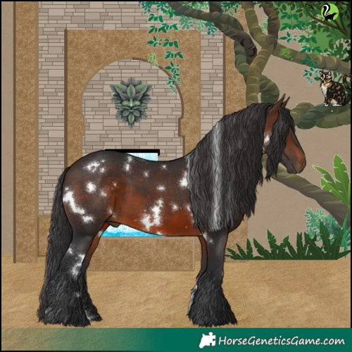 Horse Color:White Spotted Brown 