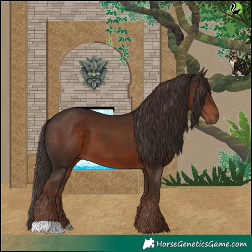 Horse Color:Liver Chestnut 