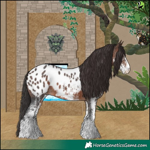 Horse Color:White Spotted Brown Blanket 