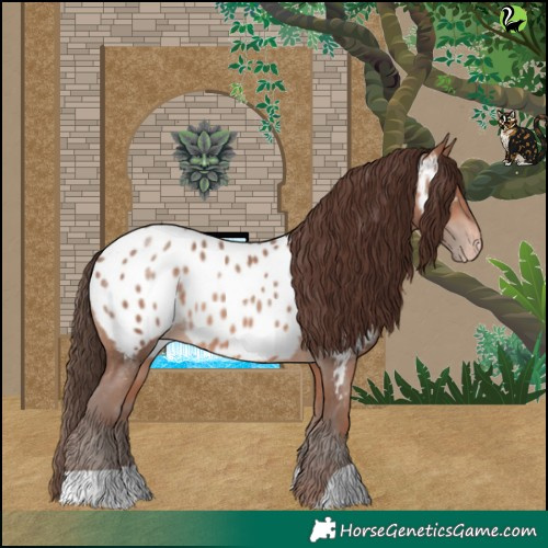 Horse Color:Sable Champagne Near Leopard 