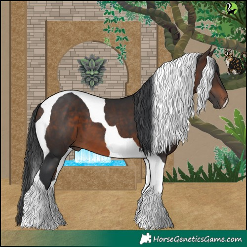 Horse Color:Brown Tobiano 