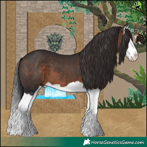 Horse Color:Brown Splash 