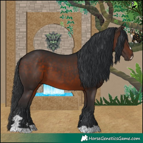 Horse Color:Brown 