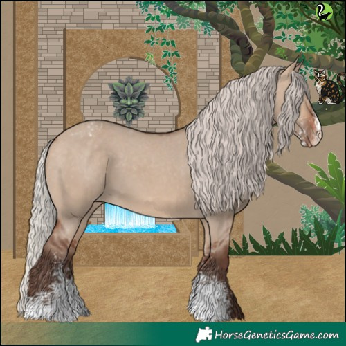 Horse Color:Silver Brown Dun Sabino Appaloosa 