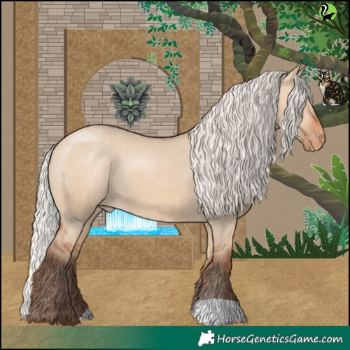 Horse Color:Silver Bay Dun Appaloosa 