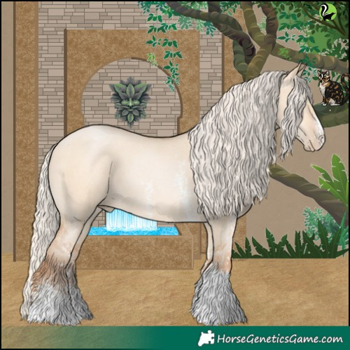 Horse Color:Silver Bay Pearl Dun Sabino 