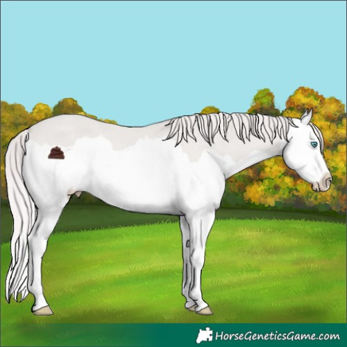 Horse Color:Platinum Chocolate Smoky Creme Splash 