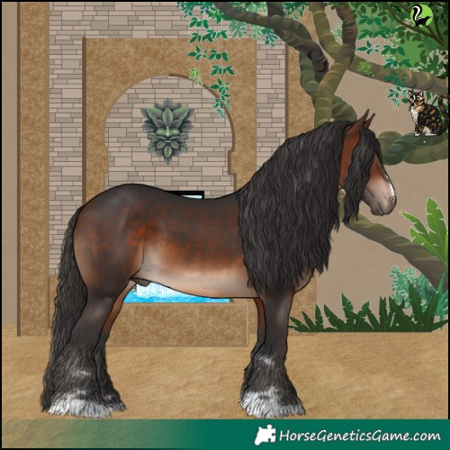 Horse Color:Brown 