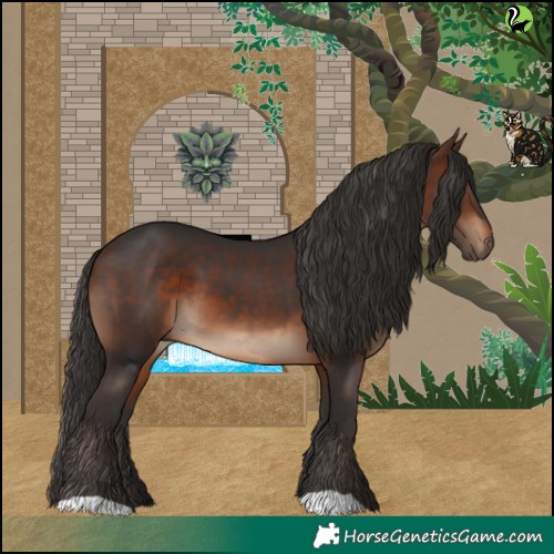 Horse Color:Brown 