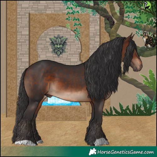 Horse Color:Brown 