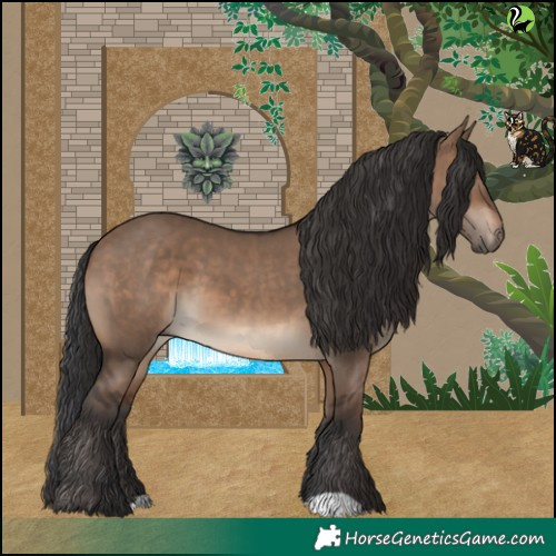 Horse Color:Brown Dun 