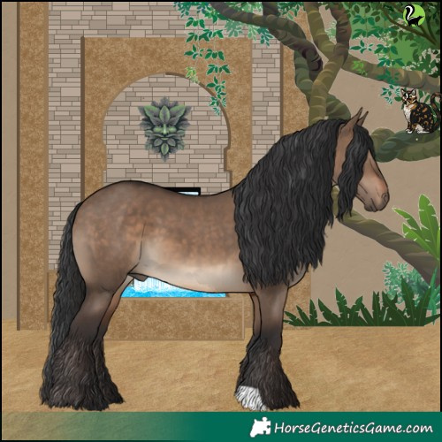 Horse Color:Brown Dun 
