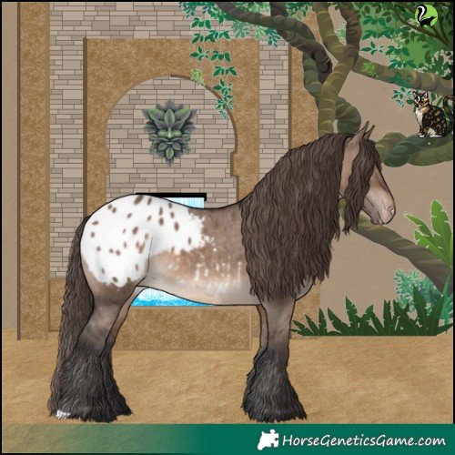 Horse Color:Brown Dun Blanket 