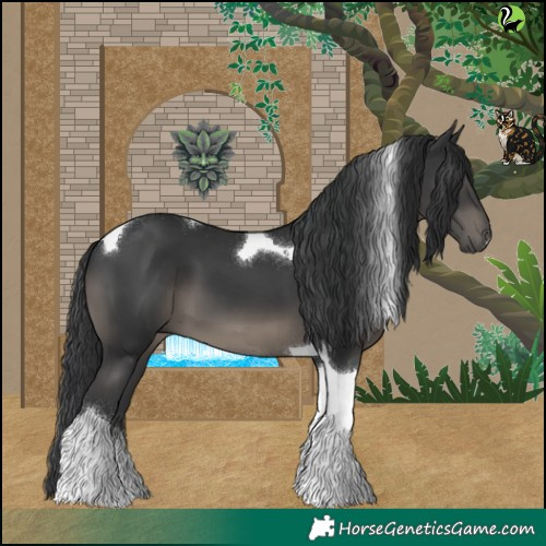 Horse Color:Black Tobiano 