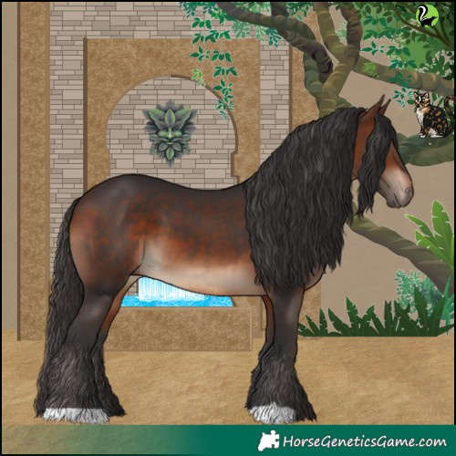 Horse Color:Brown 