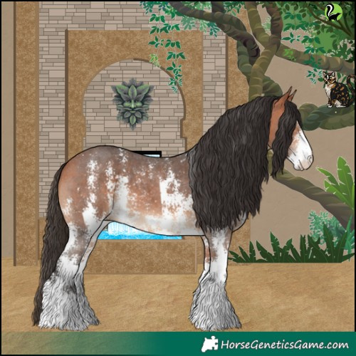 Horse Color:Bay Sabino 