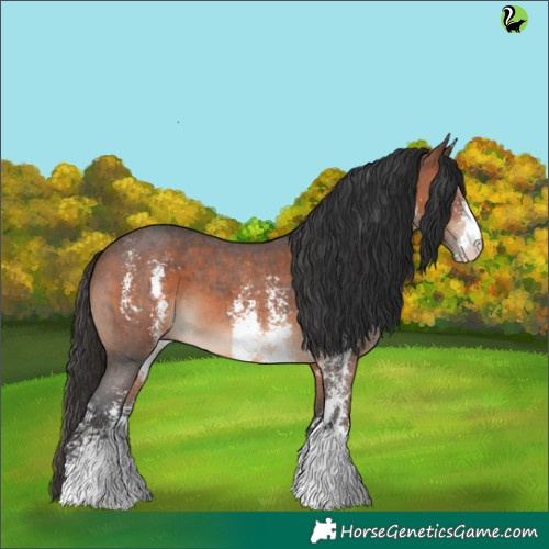 Horse Color:Brown Sabino 