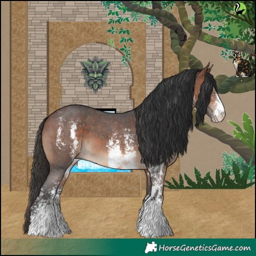 Horse Color:Brown Sabino 