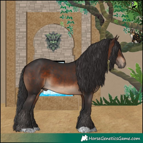 Horse Color:Brown 