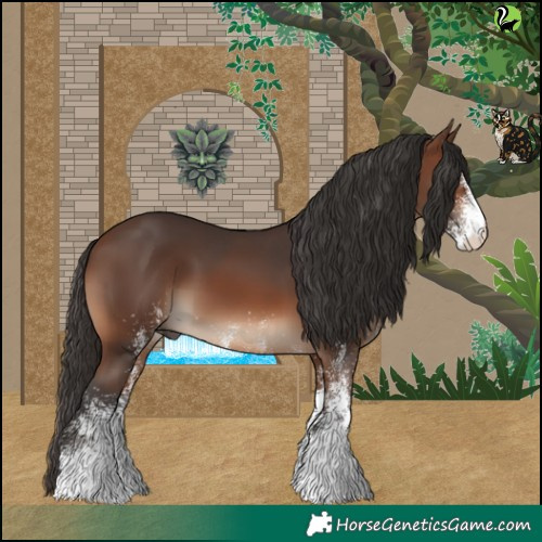 Horse Color:White Spotted Brown 