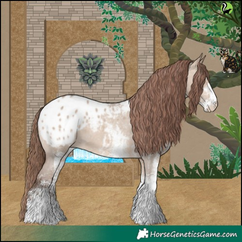 Horse Color:White Spotted Sable Champagne Dun Appaloosa 