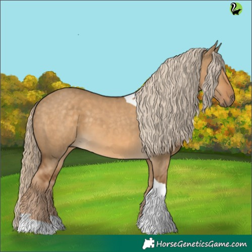 Horse Color:Chocolate Palomino Dun Tobiano 