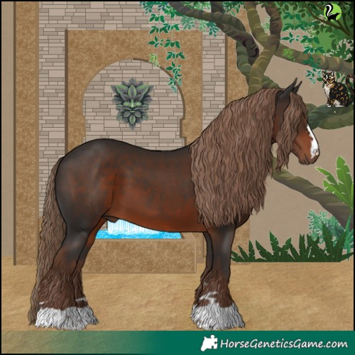 Horse Color:Liver Chestnut 